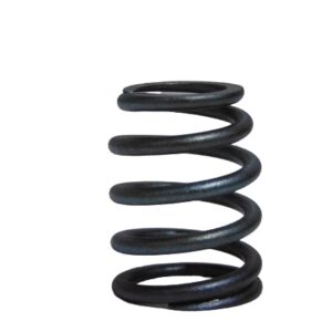 T417883-MOLA DE VÁLVULA 1104